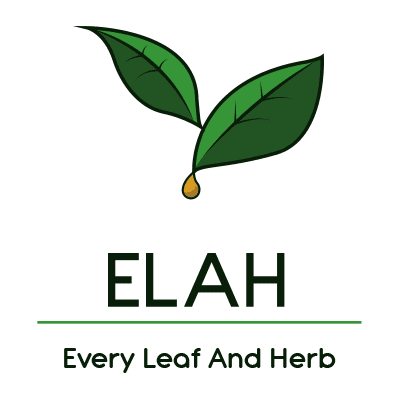 Every Leaf And Herb